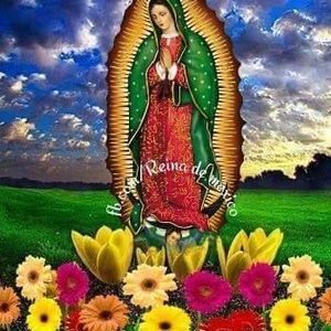 Meet your Posher, Anne